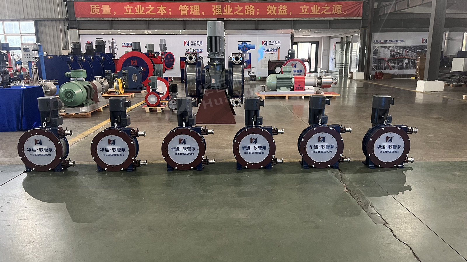 華運軟管泵助力金針菇高效潔凈輸送